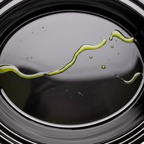 Image Step 01